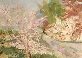 四季桜