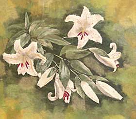 山百合
