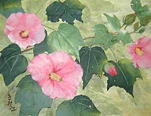 芙蓉