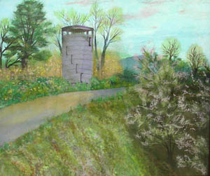 公園