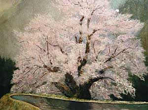 駒つなぎ桜