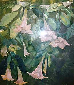 華