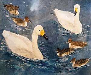 白鳥の湖