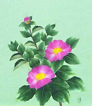 山茶花