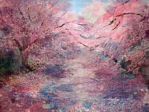 川面の桜