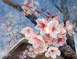 （桜）
