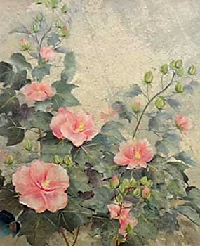 芙蓉