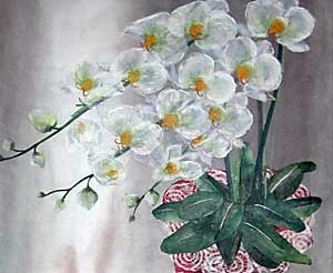 来年も咲いてね