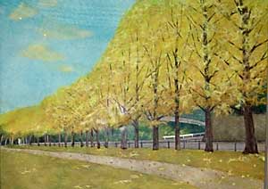 公園の並木道
