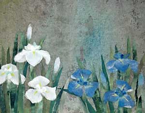 菖蒲