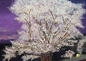 満開の夜桜