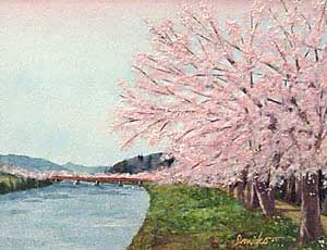 桜並木