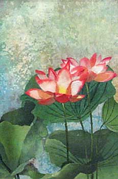 水蓮