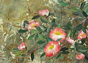 庭の片隅で（サザン花）