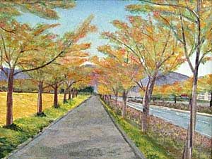 散歩道