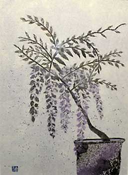 盆藤