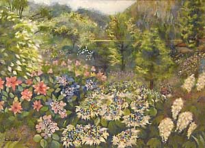 山間の紫陽花たち