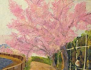 庄下川の桜