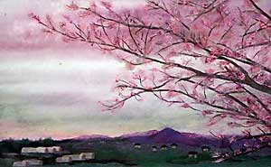 讃岐夕景