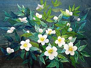 野いちごの花