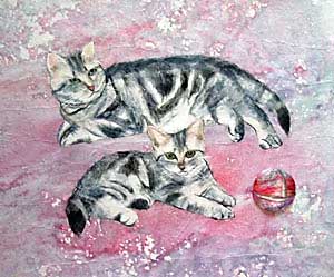 我が家の愛猫