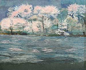 青木湖畔の桜
