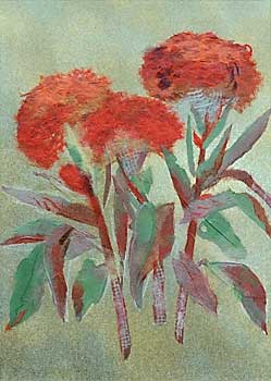 鶏頭の花（習作）
