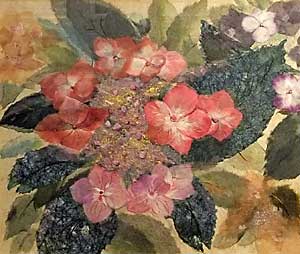 紫陽花