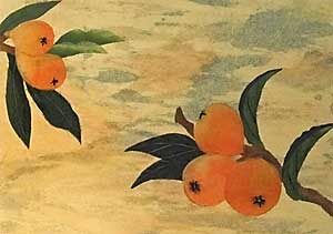 びわ