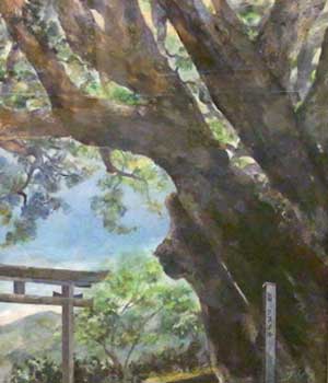 巨樹クスノキ（櫛渕天満神社）