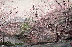 桜