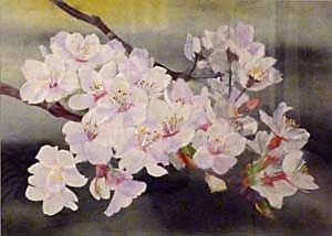 夜桜