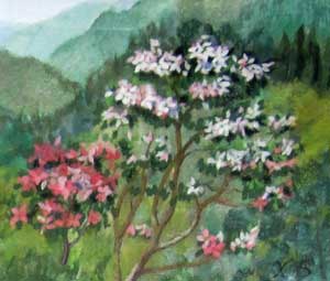 奥山の華