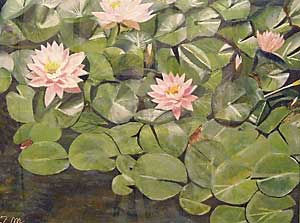 花影の池