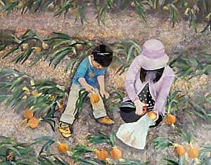 収穫