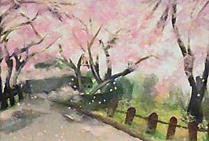 桜