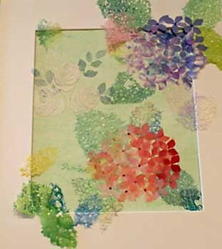 六月の花