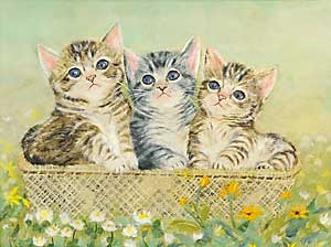 こねこ（仲良し）