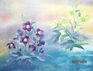 花二色