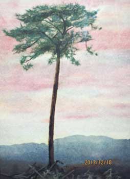 絆