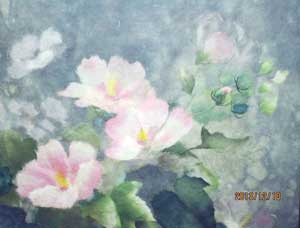芙蓉