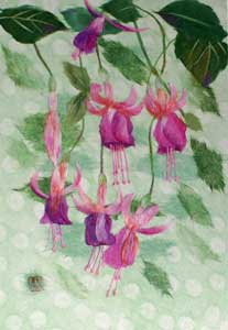 フクシアの花