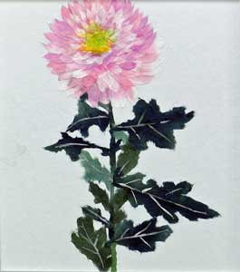 菊