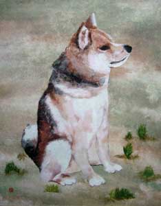 愛犬サブ