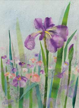 花菖蒲