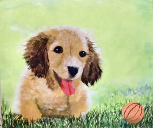愛犬ピチュー君