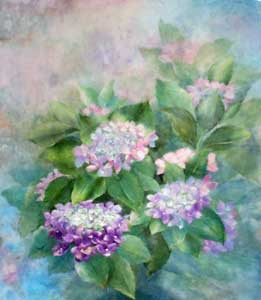 紫陽花