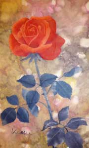 華