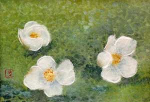 落花