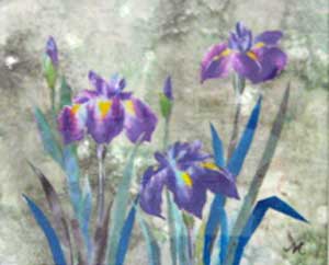 花菖蒲